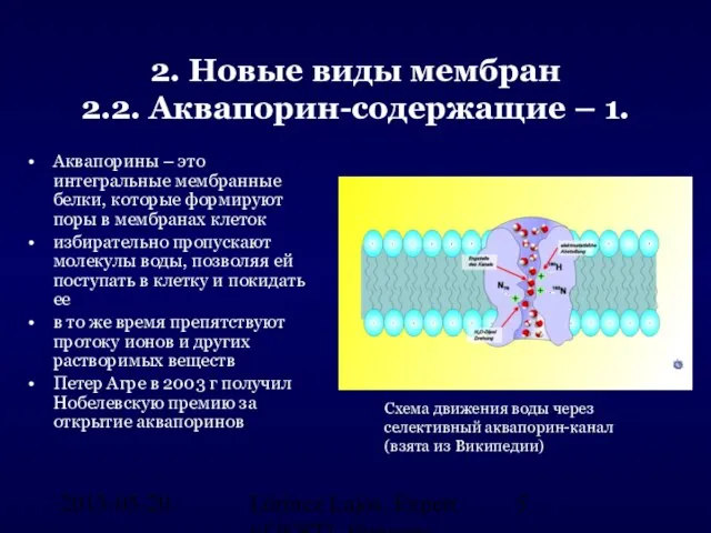 2013-05-20. Lőrincz Lajos, Expert of ICSTI, Hungary 2. Новые виды мембран 2.2.