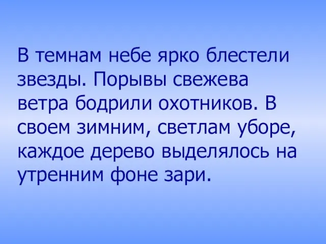 В темнам небе ярко блестели звезды. Порывы свежева ветра бодрили охотников. В