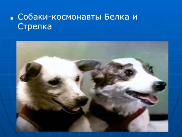 Собаки-космонавты Белка и Стрелка