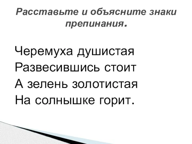 Черемуха душистая Развесившись стоит А зелень золотистая На солнышке горит. Расставьте и объясните знаки препинания.