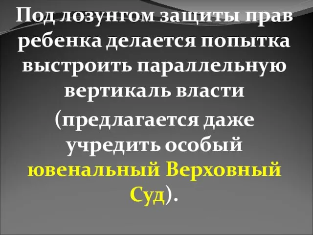 Под лозунгом защиты прав ребенка делается попытка выстроить параллельную вертикаль власти (предлагается