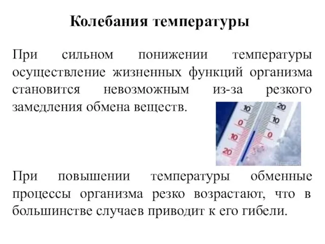 При сильном понижении температуры осуществление жизненных функций организма становится невозможным из-за резкого