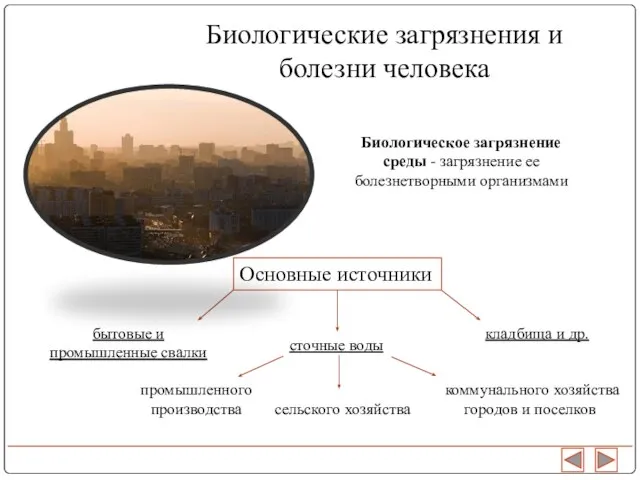 Биологическое загрязнение среды - загрязнение ее болезнетворными организмами Основные источники сточные воды