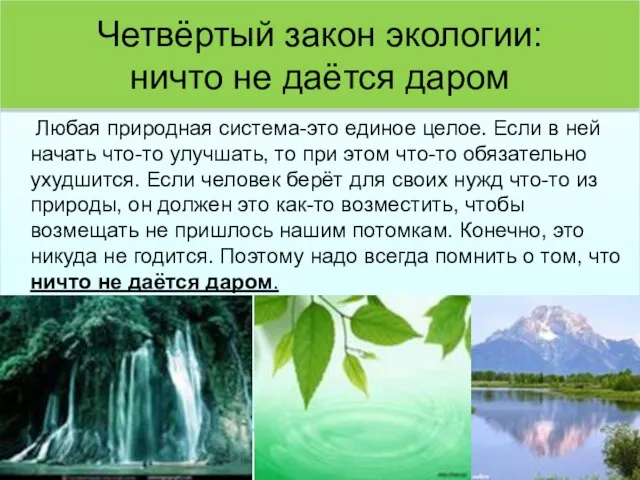 Четвёртый закон экологии: ничто не даётся даром Любая природная система-это единое целое.