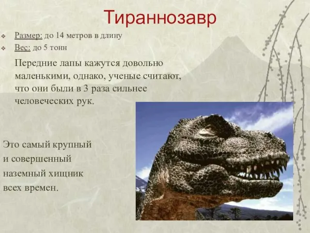 Тираннозавр Размер: до 14 метров в длину Вес: до 5 тонн Передние