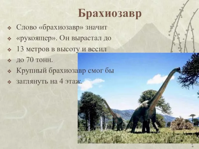 Брахиозавр Слово «брахиозавр» значит «рукоящер». Он вырастал до 13 метров в высоту