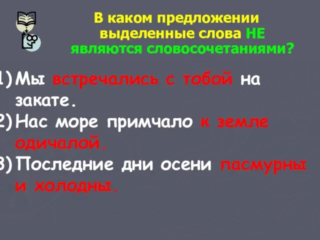 В каком предложении выделенные слова НЕ являются словосочетаниями? Мы встречались с тобой