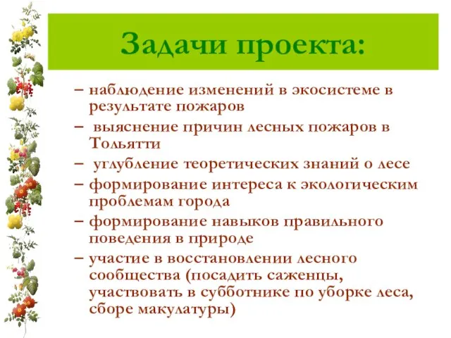 Задачи проекта: наблюдение изменений в экосистеме в результате пожаров выяснение причин лесных