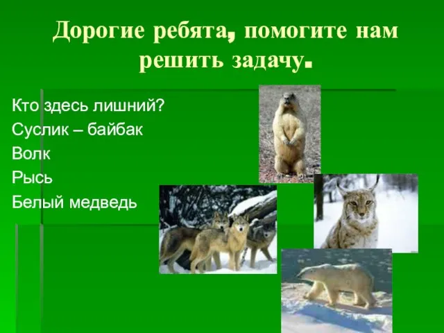 Дорогие ребята, помогите нам решить задачу. Кто здесь лишний? Суслик – байбак Волк Рысь Белый медведь