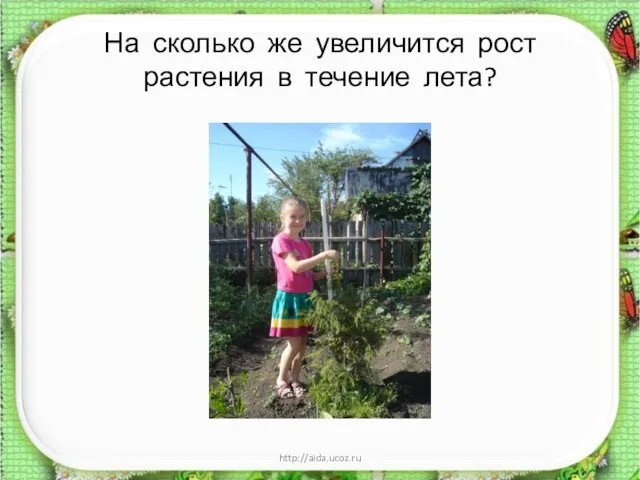 На сколько же увеличится рост растения в течение лета? * http://aida.ucoz.ru