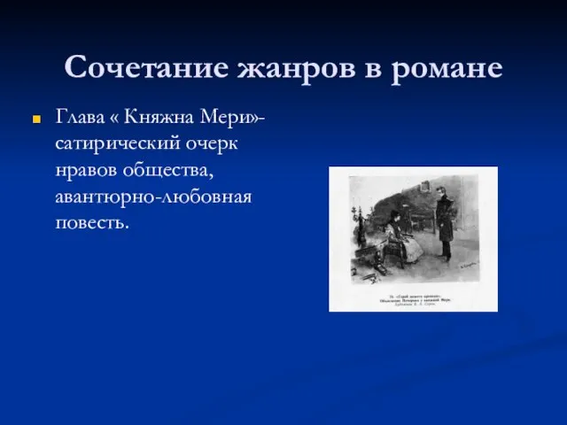 Сочетание жанров в романе Глава « Княжна Мери»-сатирический очерк нравов общества, авантюрно-любовная повесть.