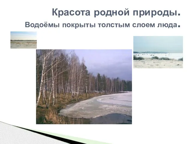 Красота родной природы. Водоёмы покрыты толстым слоем люда.