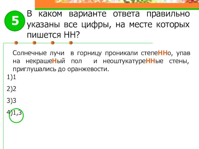 Солнечные лучи в горницу проникали степеННо, упав на некрашеНый пол и неоштукатуреННые