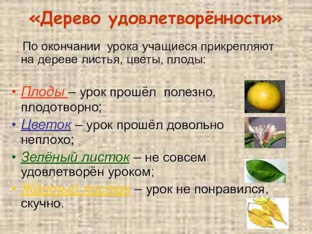 «Дерево удовлетворённости» По окончании урока учащиеся прикрепляют на дереве листья, цветы, плоды: