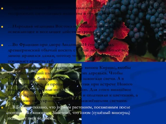 …Врачи Древнего Востока отмечали свойство рябины «удерживать питательные вещества в организме» …Народная