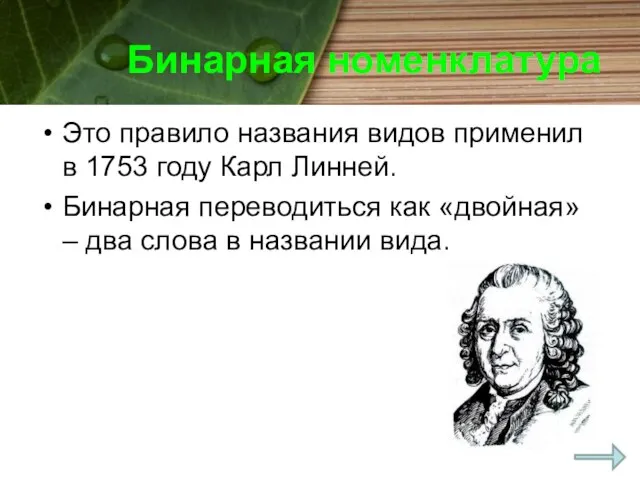 Бинарная номенклатура Это правило названия видов применил в 1753 году Карл Линней.