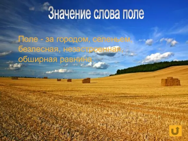 Поле - за городом, селеньем, безлесная, незастроенная, обширная равнина. Значение слова поле