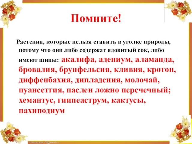 Помните! Растения, которые нельзя ставить в уголке природы, потому что они либо