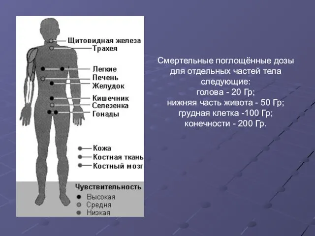 Смертельные поглощённые дозы для отдельных частей тела следующие: голова - 20 Гр;
