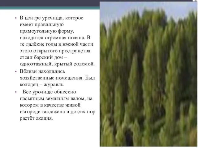 В центре урочища, которое имеет правильную прямоугольную форму, находится огромная поляна. В