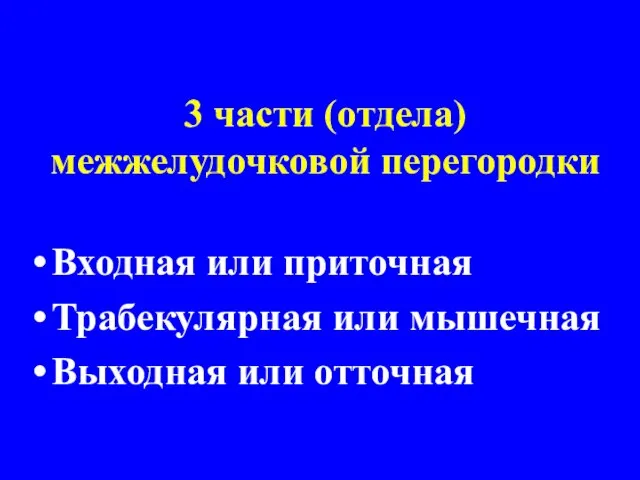 3 части (отдела) межжелудочковой перегородки Входная или приточная Трабекулярная или мышечная Выходная или отточная