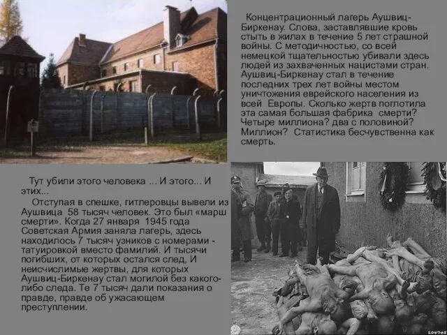 Концентрационный лагерь Аушвиц-Биркенау. Слова, заставлявшие кровь стыть в жилах в течение 5