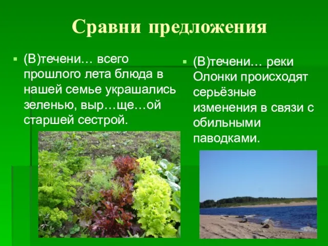 Сравни предложения (В)течени… всего прошлого лета блюда в нашей семье украшались зеленью,