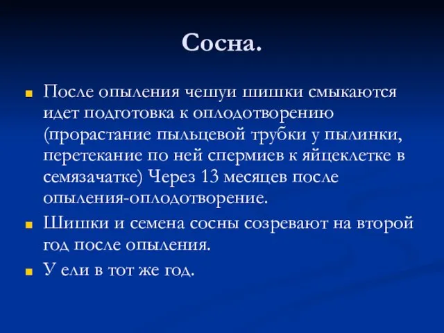 Сосна. После опыления чешуи шишки смыкаются идет подготовка к оплодотворению(прорастание пыльцевой трубки