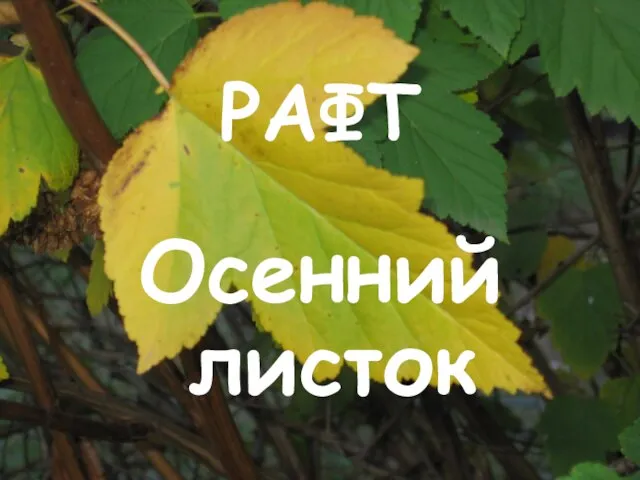 РАФТ Осенний листок