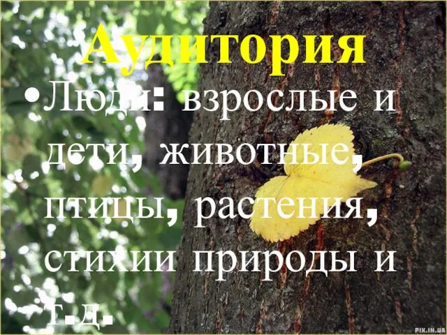 Аудитория Люди: взрослые и дети, животные, птицы, растения, стихии природы и т.д.