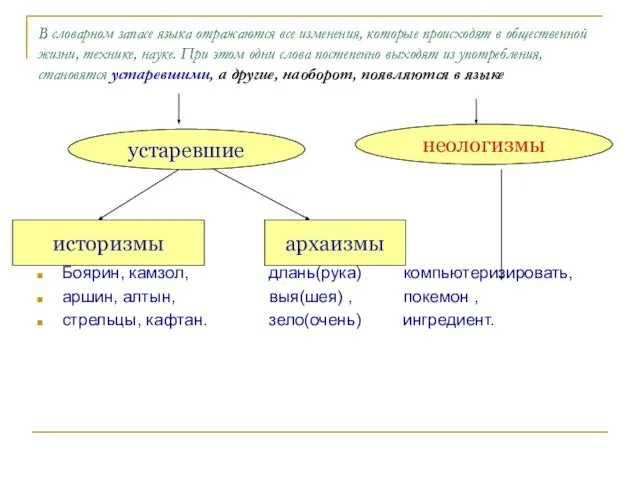 В словарном запасе языка отражаются все изменения, которые происходят в общественной жизни,