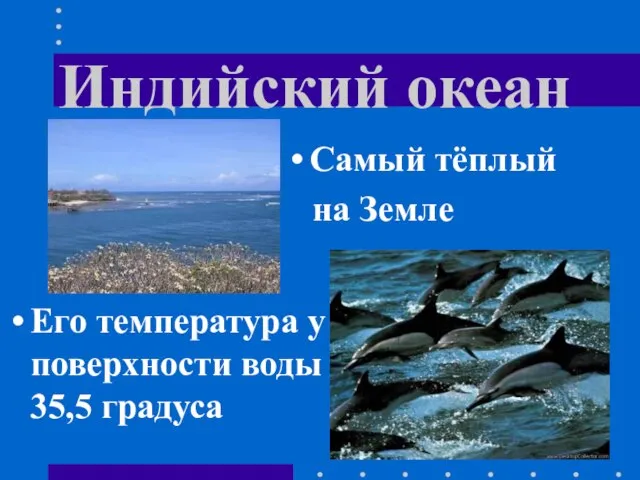 Индийский океан Его температура у поверхности воды 35,5 градуса Самый тёплый на Земле