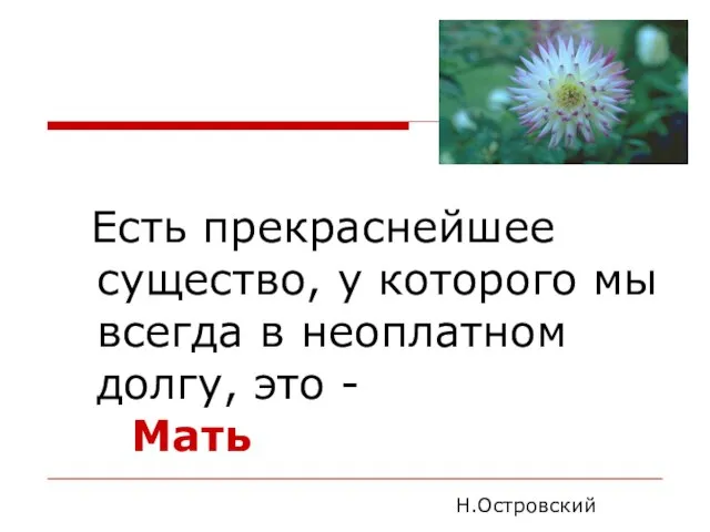 Есть прекраснейшее существо, у которого мы всегда в неоплатном долгу, это - Мать Н.Островский