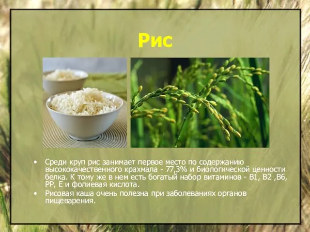 Рис Среди круп рис занимает первое место по содержанию высококачественного крахмала -