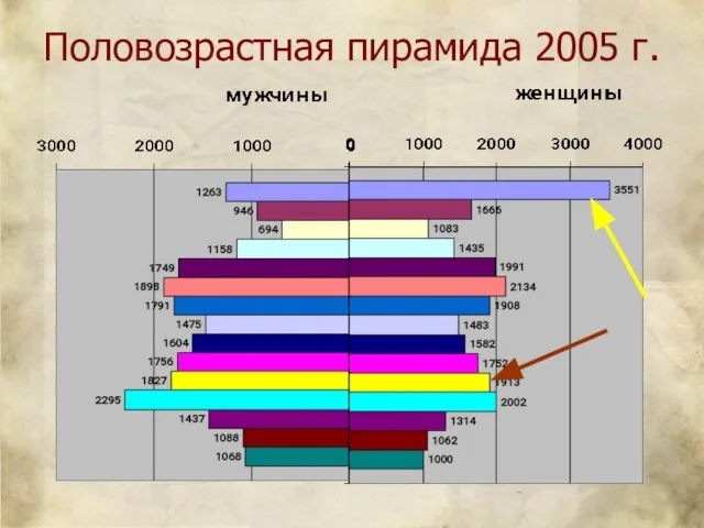 Половозрастная пирамида 2005 г.