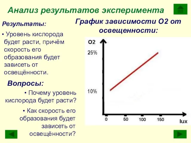 График зависимости О2 от освещенности: Уровень кислорода будет расти, причём скорость его