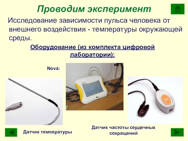 Оборудование (из комплекта цифровой лаборатории): Проводим эксперимент Исследование зависимости пульса человека от