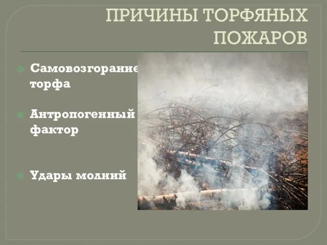 ПРИЧИНЫ ТОРФЯНЫХ ПОЖАРОВ Самовозгорание торфа Антропогенный фактор Удары молний