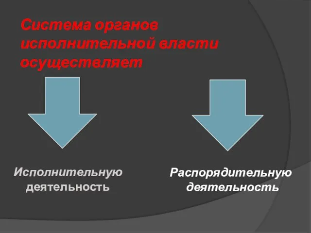 Система органов исполнительной власти осуществляет Исполнительную деятельность Распорядительную деятельность