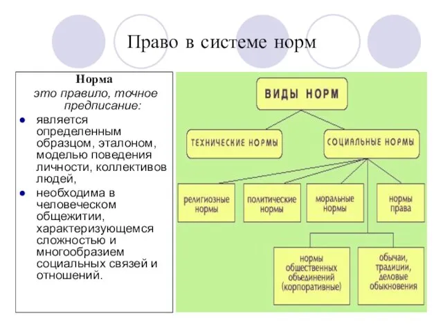 * * * Право в системе норм Норма это правило, точное предписание: