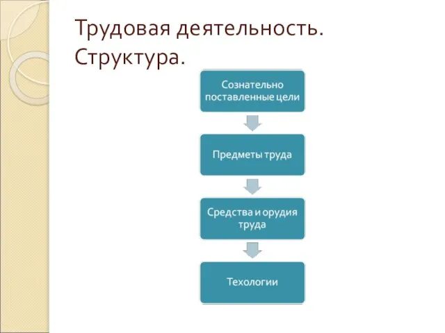 Трудовая деятельность. Структура.