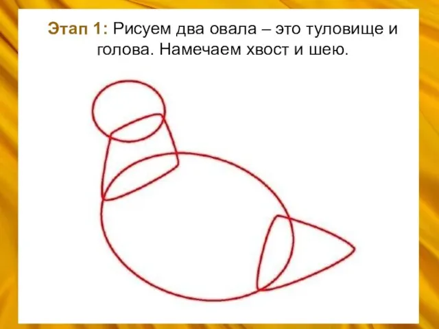 Этап 1: Рисуем два овала – это туловище и голова. Намечаем хвост и шею.