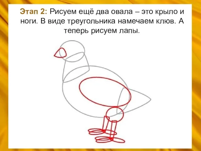 Этап 2: Рисуем ещё два овала – это крыло и ноги. В