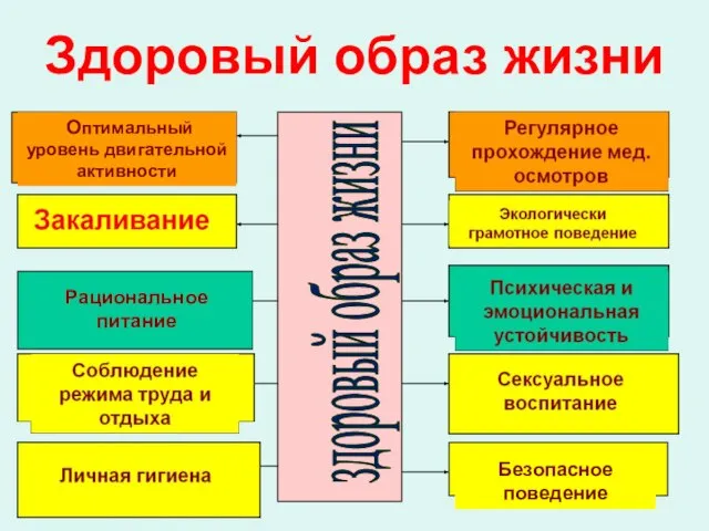 Здоровый образ жизни здоровый образ жизни