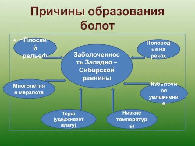 Причины образования болот схема Заболоченность Западно – Сибирской равнины Плоский рельеф Половодье