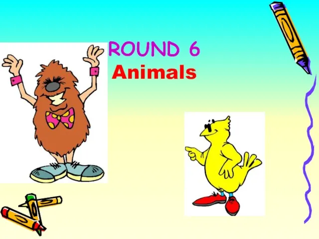 ROUND 6 Animals