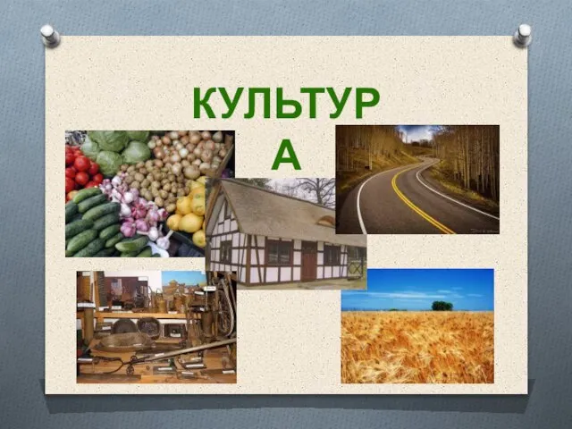 Культура