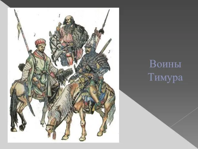 Воины Тимура