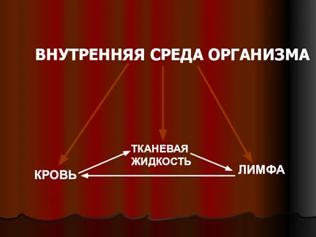 ВНУТРЕННЯЯ СРЕДА ОРГАНИЗМА КРОВЬ ТКАНЕВАЯ ЖИДКОСТЬ ЛИМФА