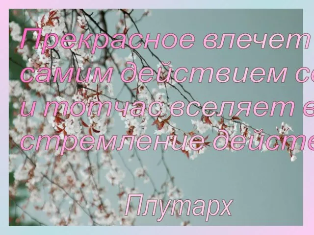 Прекрасное влечет к себе самим действием своим и тотчас вселяет в нас стремление действовать. Плутарх